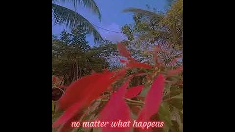 PERFORMANCE TASK IN CPAR||WEEK 3-4||QUARTER 2