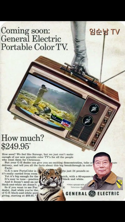 Korea DMZ TIGER-LIM CNN NEWS