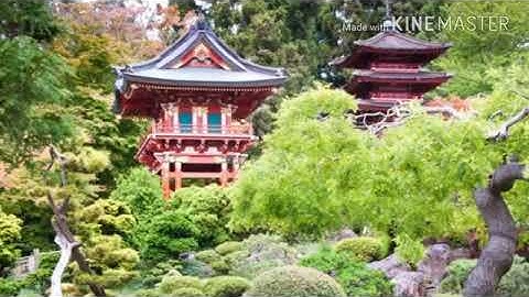 Ncert class 7 civics chapter 10 struggle for equality explanation.