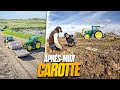 Une apres midi de recolte de carotte