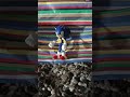 #sonic #jakkspacific @axel77f