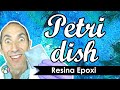 🌟  PETRI DISH 💎  Con Resina Expoxi y Tinta al Alcohol 💎 PASO A PASO - Curso de Iniciación -