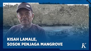 Dulu Babat Bakau, Sekarang Pelindung Hutan Mangrove di Kawasan IKN
