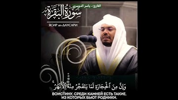أرح مسمعك 🎧 وقلبك ❤️ القارئ:- #ياسر_الدوسري #قرآني_حياتي_كلها