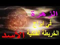 الزهرة في برج الأسد 