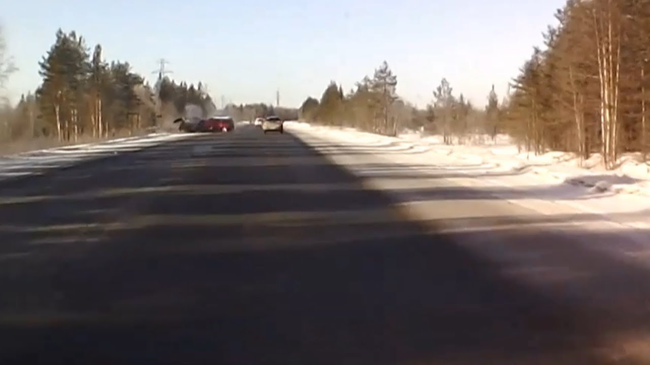 KIA вынесло под встречную Skoda. Архангельск - Северодвинск. - YouTube