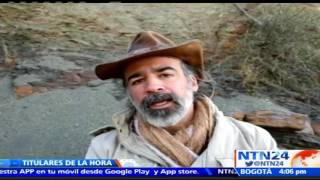 Hallan Mayor Huella De Un Dinosaurio Carnívoro En Sur De Bolivia