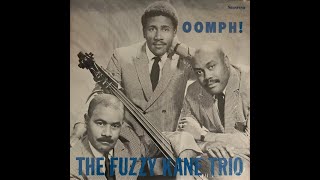 The Fuzzy Kane Trio The Look Of Love