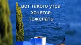 Доброе летнее утро!!!