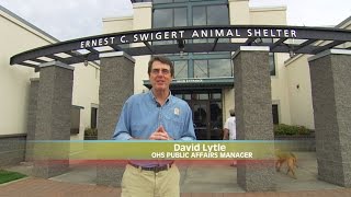 OHS Tour: Adoption Areas