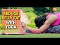 Yoga To Reduce Belly Fat | Seated Forward Bend | Yoga Tak
