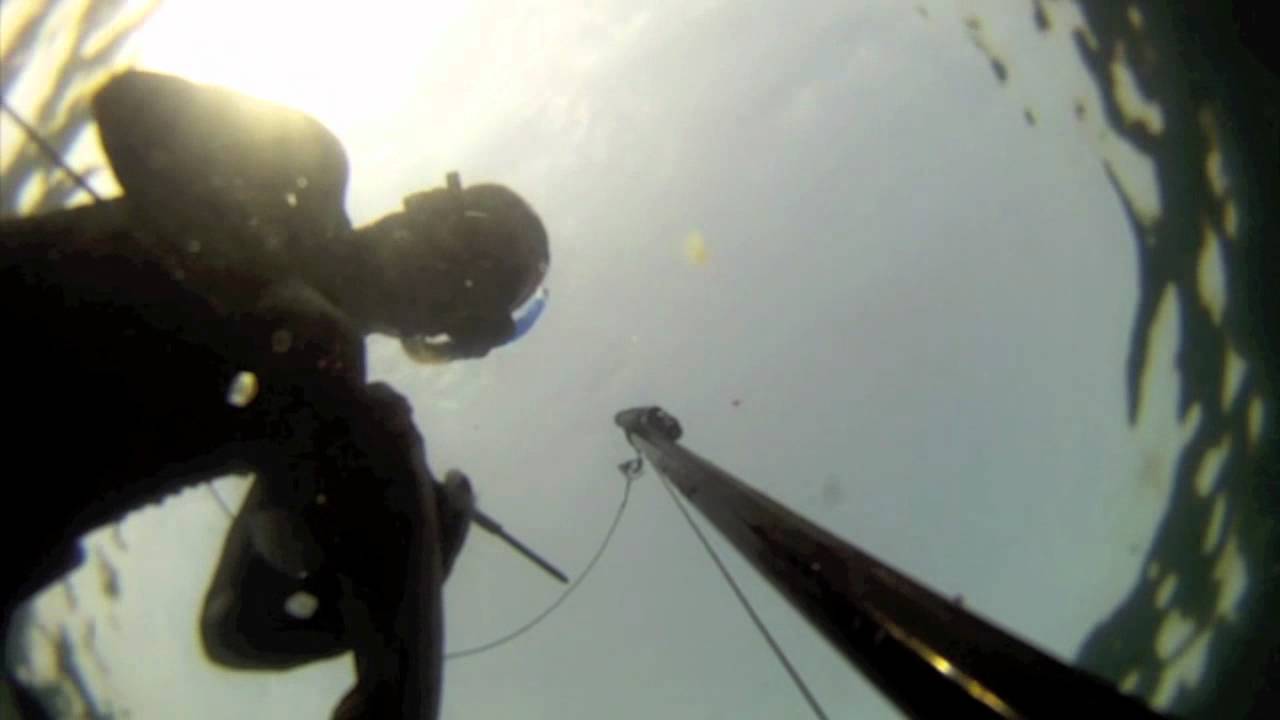 Spearfishing in DUBAI july 2011 by LUCIEN HAKIM.mov YouTube