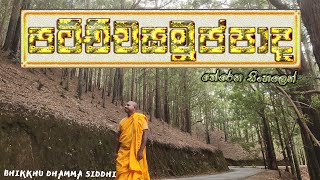 Download Lagu ස්වර්ග රාජ්‍ය මැදින් ලෝකාන්තයට | පටිච්චසමුප්පාද | @dhammasiddhi MP3