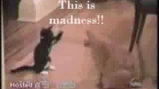 This Is Sparta-Techno Remix