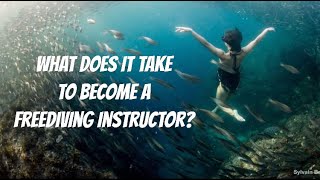 What Does It Take to Become A Freediving Instructor? - My Experience with a Zero to Hero Internship