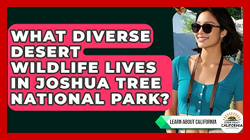 What Diverse Desert Wildlife Lives In Joshua Tree National Park? - Learn About California