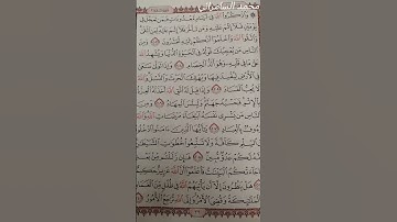 ماتيسر من سورة البقرة / محمد السامرائي #اكسبلور #المصحف #تيك_توك