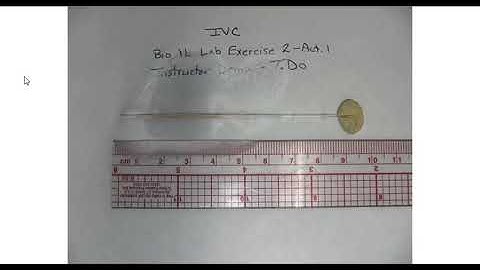 BIO 1L - Lab Exercise 2 - Activity 1 - Frozen Capillary Column - Instructor Demo
