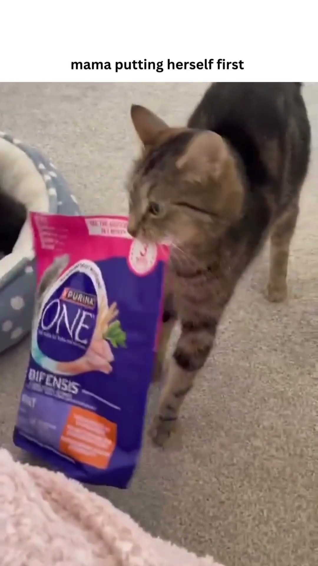 Prvnci was part of the liter and she was like time to fend for yourself