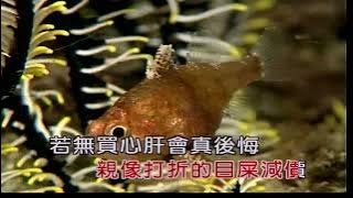 前世緣~陳雷&楊靜~合Dm調~伴奏導唱~金嗓