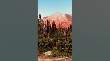 The Mountain Is Out Is Something We Truly Enjoy Saying In The PNW Hiking Travel Nature 