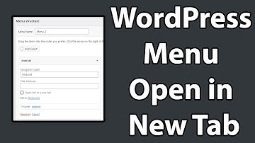 How to Make WordPress Menu Open in New Tab