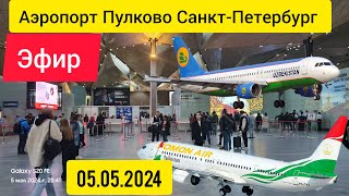 Аэропорт Пулково Срочно Курамиз ✈️✈️