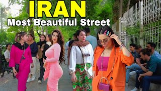 One of the most beautiful streets in the world in IRAN 🇮🇷 !! Shiraz city tour (ایران)