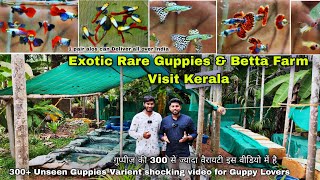Exotic Guppies Farm Visit Kerala , CK Guppies & Bettas