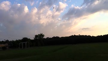 Blade 450X first flips