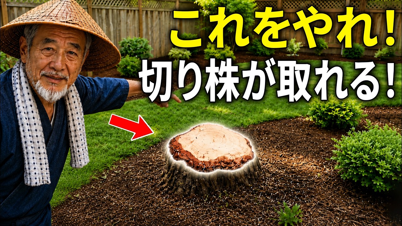 切り株を取り除く方法 ― 手軽で簡単な方法！ - YouTube
