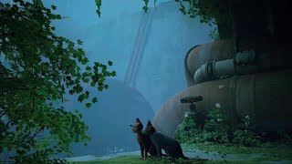 Stray 4K HDR Gameplay Introduction
