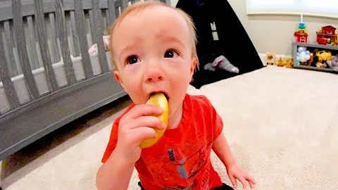 Baby Eats His First Lemon!