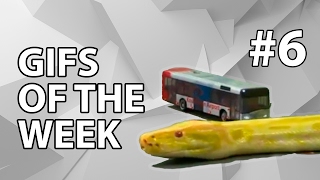 Gifs of the week #6