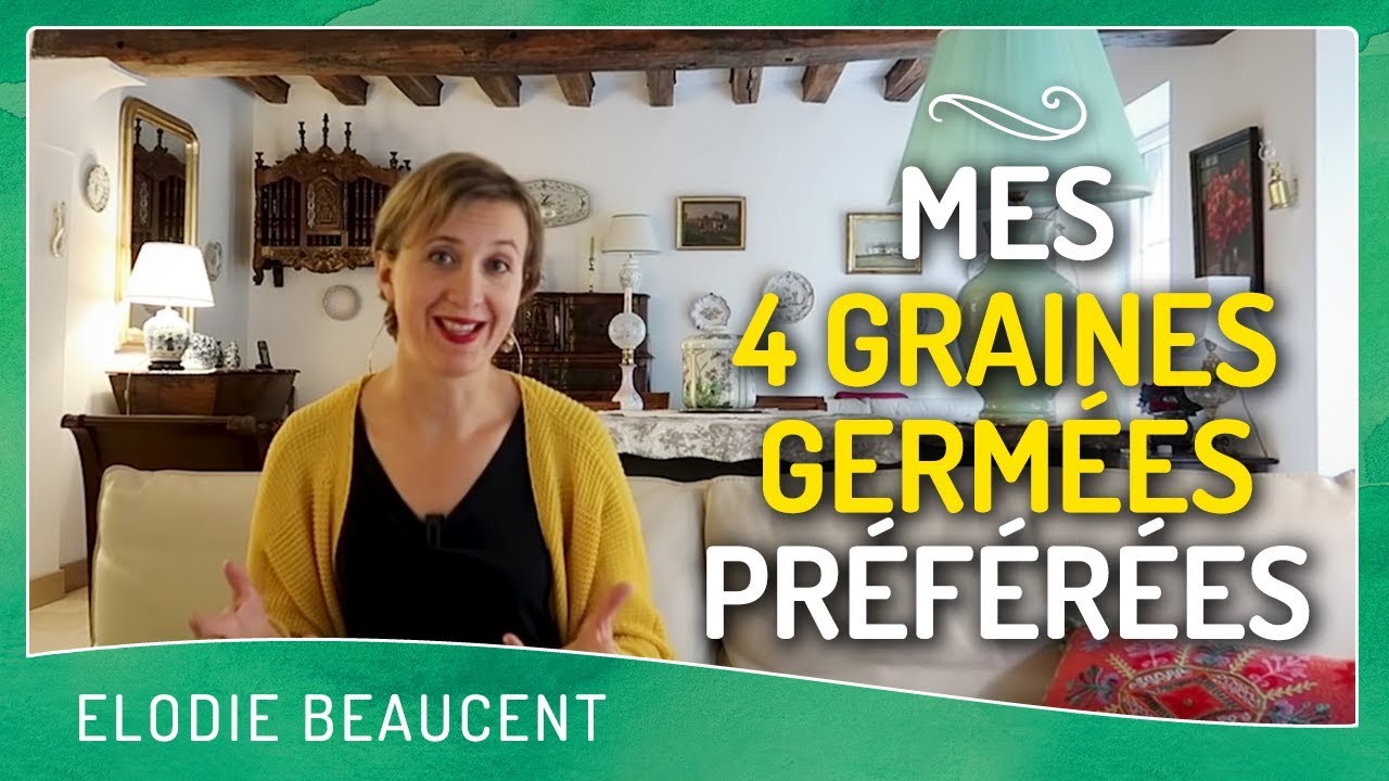 Mes 4 GRAINES GERMÉES préférées