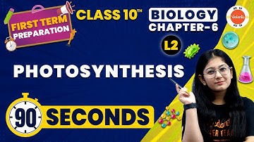 Photosynthesis in Life Processes | CBSE Class 10 Biology | NCERT Class 10 Chapter 6 Science
