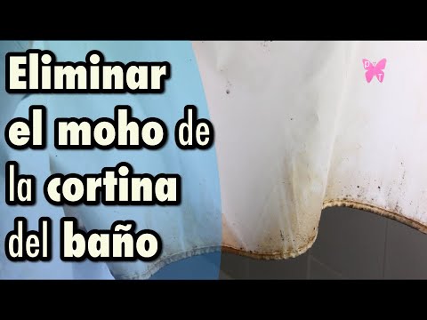 Video: Cómo blanquear cortinas en casa: todas las formas posibles