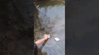 Paper Boat Challenge in Rain 😍⛵ | Childhood Memories Recreated | Fun Monsoon Challenge
