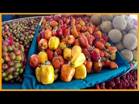 THE SAN ISIDRO FARMERS MARKET IN COSTA RICA: MOUNTAINS OF FRUITS AND VEGETABLES