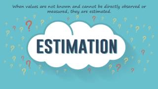 Population Estimate