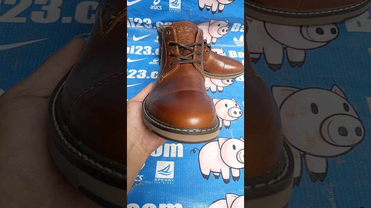 sperry commander chukka