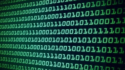 Bro Yosef and Travis Magus on Binary Codes 0