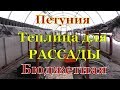 Бюджетные теплицы для цветочного бизнеса