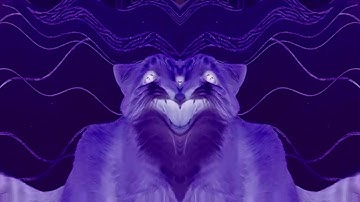 Shortest Video on Youtube Effects (Klasky Csupo 2001 Effects EXTENDED)