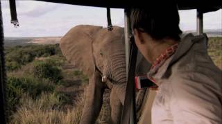 Welcome to South Africa: Safari