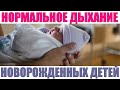 ДЫХАНИЕ НОВОРОЖДЕННОГО РЕБЕНКА | Почему новорождённый часто дышит во сне и издаёт посторонние звуки