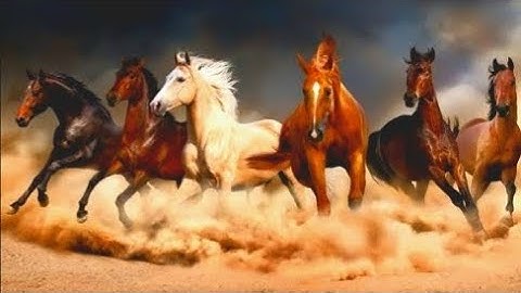 سورة العاديات  بصوت الشيخ سعد الغامدي