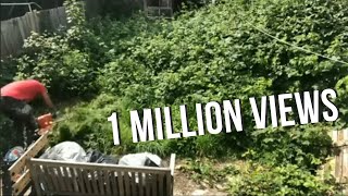 How to clear an overgrown garden - Time lapse