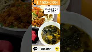 #cella어학원 #셀라어학원 수영장 앞에는 무슨 일이?