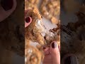 S'mores cookies are currently my favorite way to eat s’mores…and cookies 😂🍪